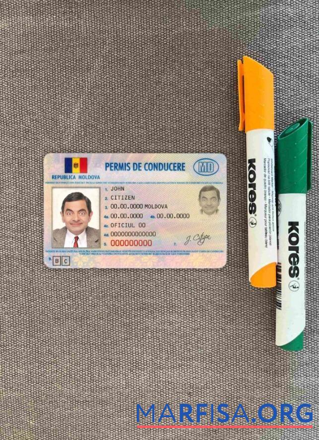 Downloadable Moldova DL photolook example